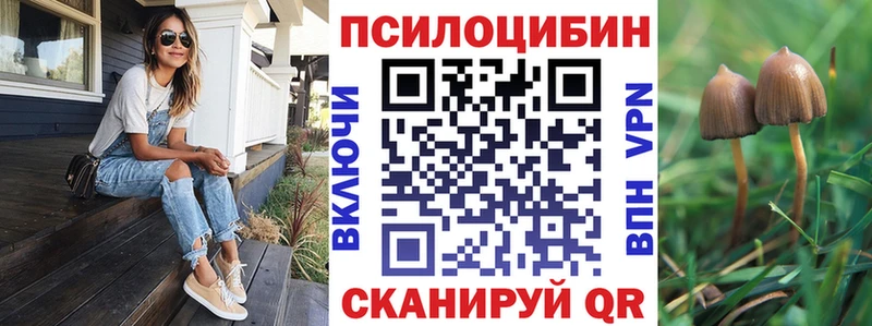 Купить  Таруса  Галлюциногенные грибы Magic Shrooms 